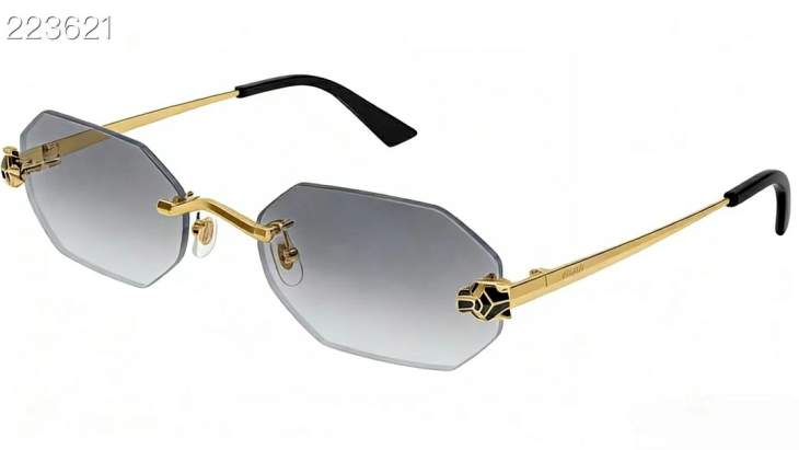 Picture of Cartier Sunglasses _SKUfw77709821fw